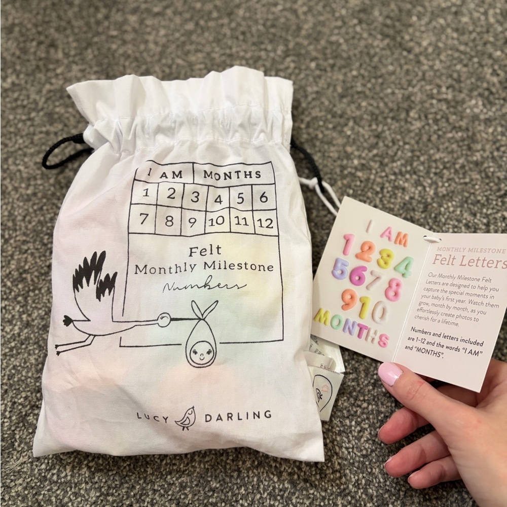 Darling Felt Monthly Milestone Numbers - Pastel Mix